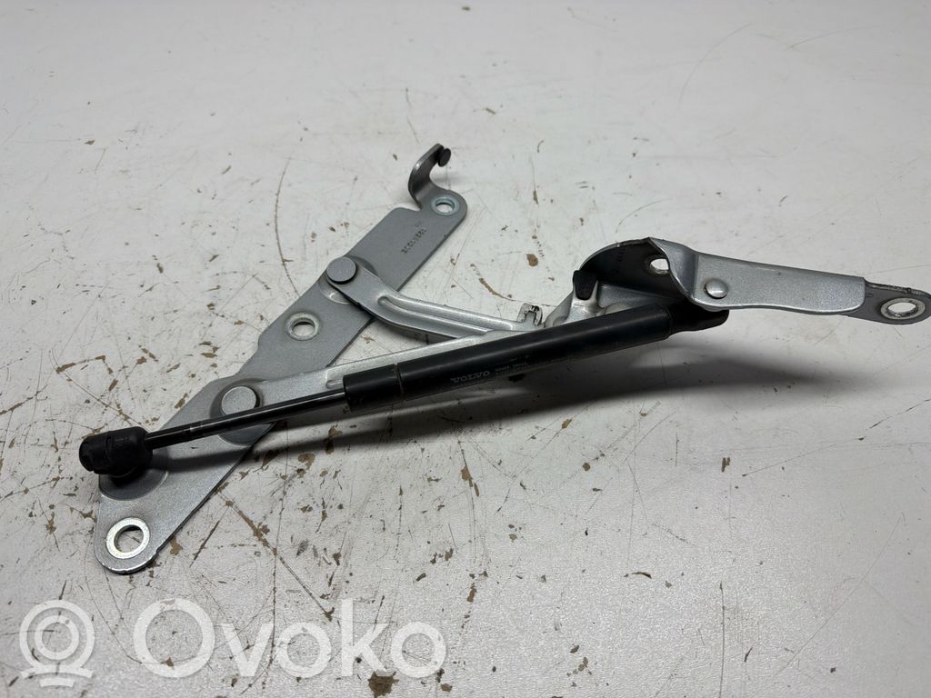 Tailgate/trunk/boot hinge   30799275