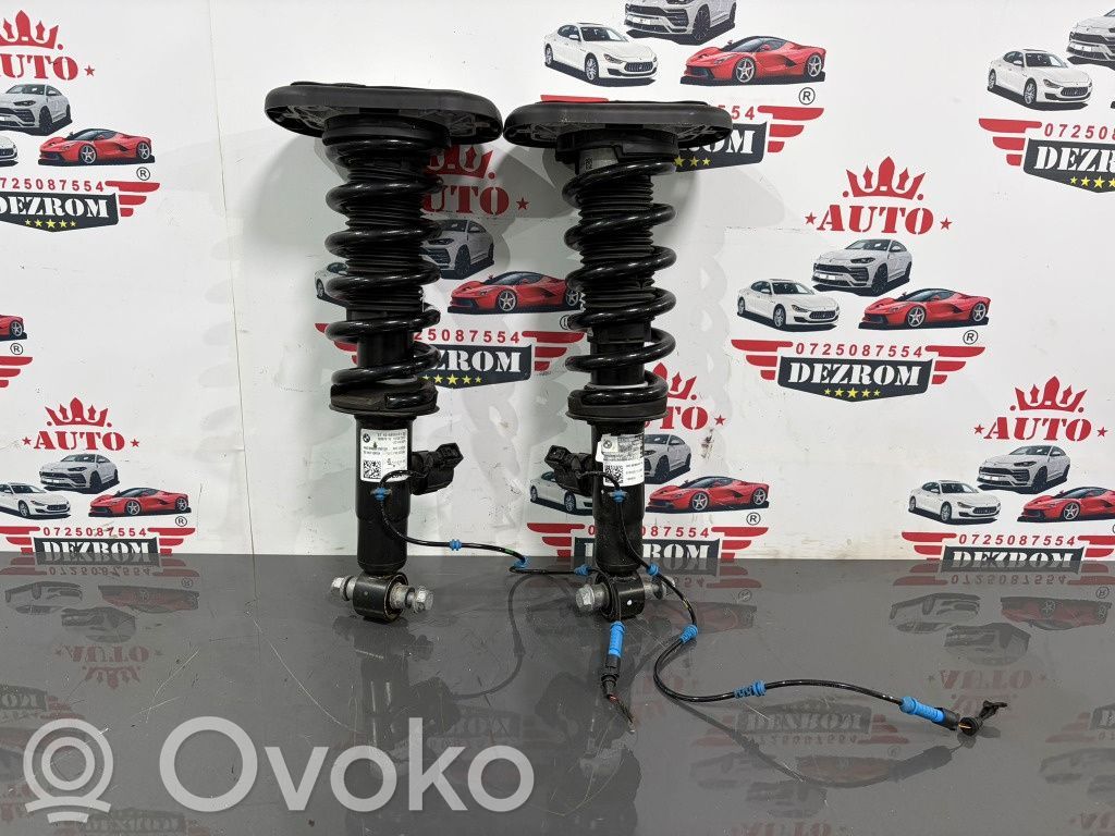 BMW X6 E71 Amortizor spate 