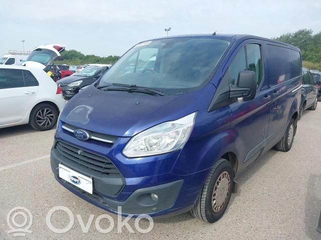Ford Transit Custom Galinės durys 