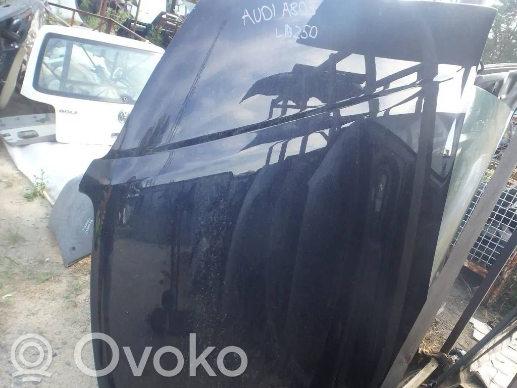 Engine hood trim   LZ5D