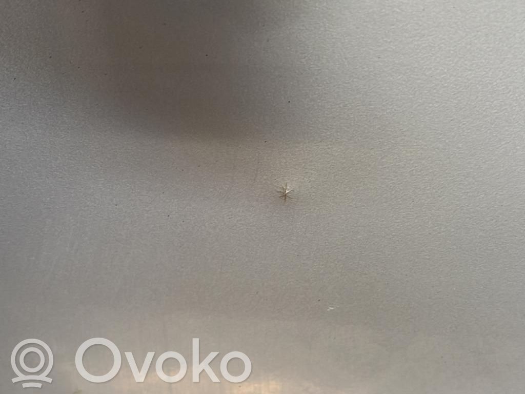 Drzwi przednie   6200306004