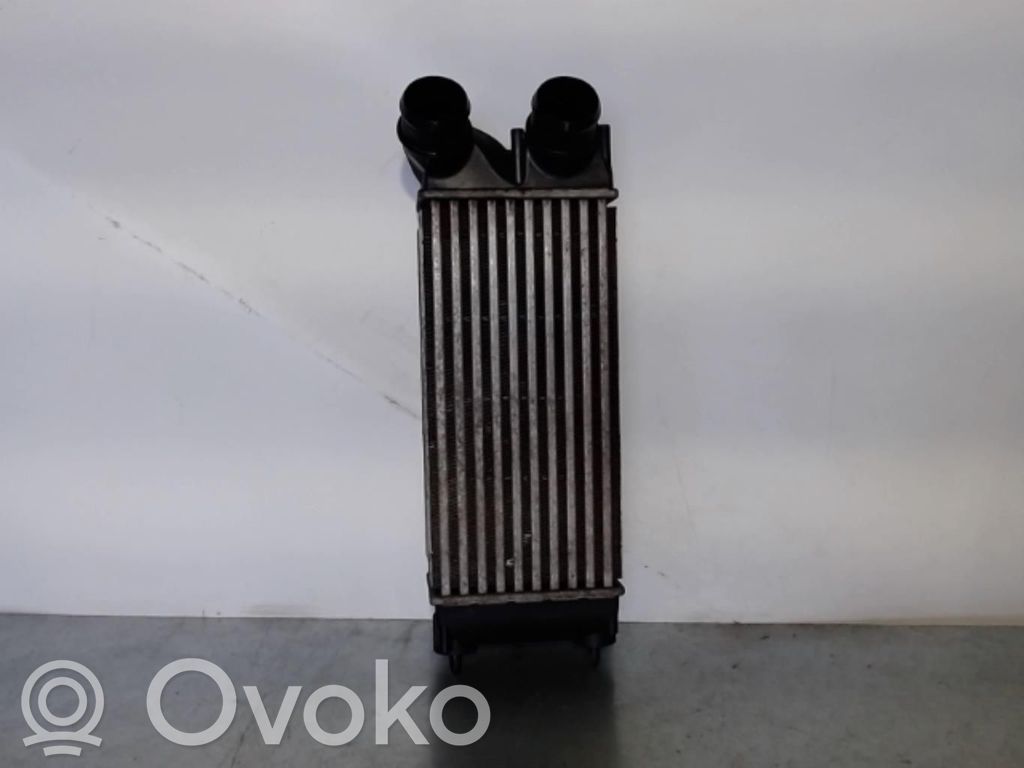 Radiador intercooler