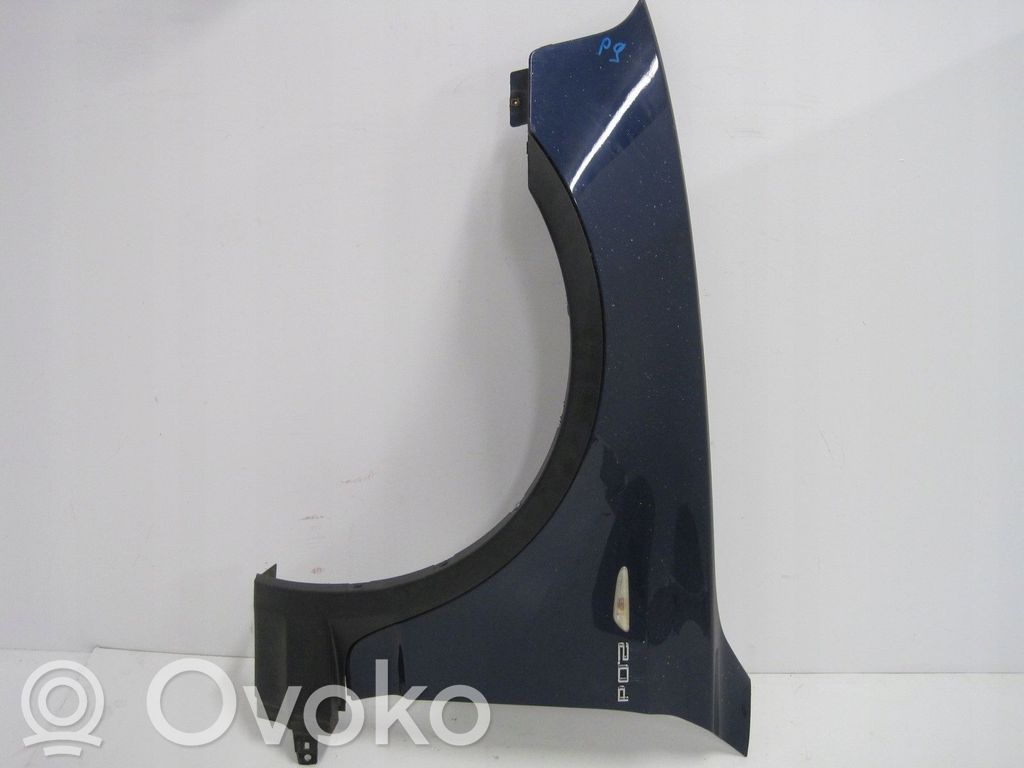 Fender