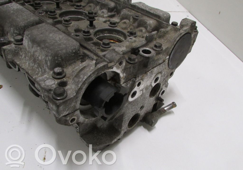 Galvutė   8251654