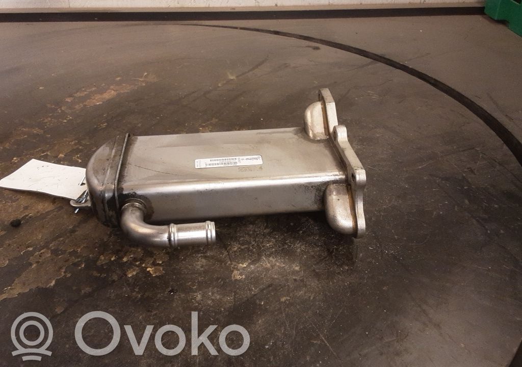 Volkswagen Transporter - Caravelle T6 Valvola di raffreddamento EGR 