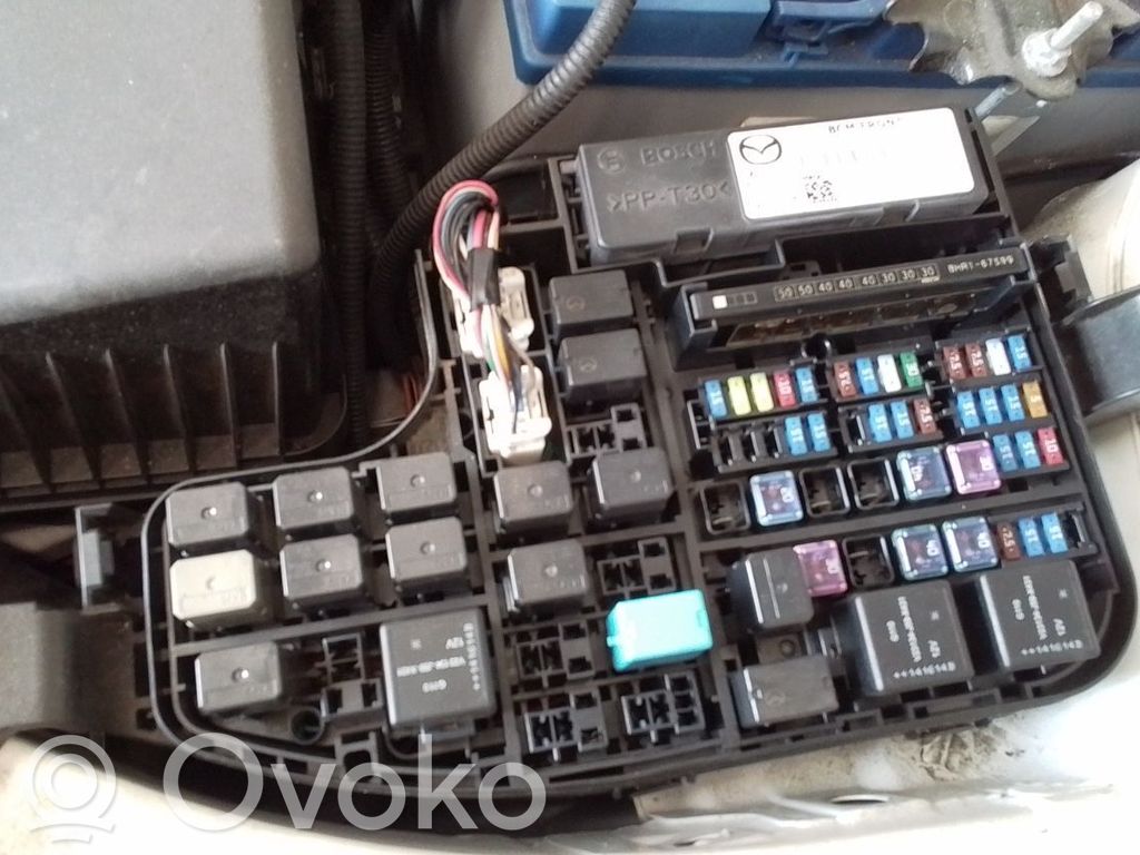 Fuse module