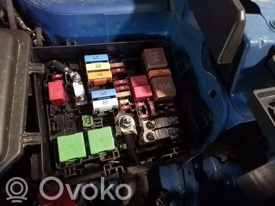 Fuse module