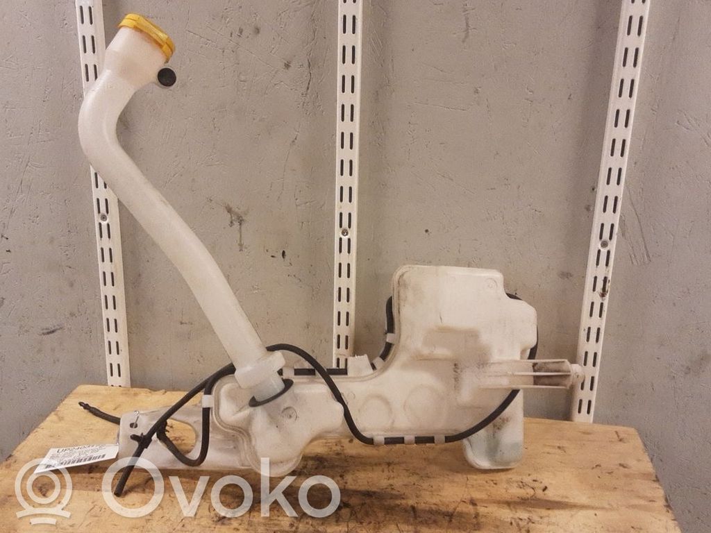 Wischwasserbehälter   289108657R,289206UA0A