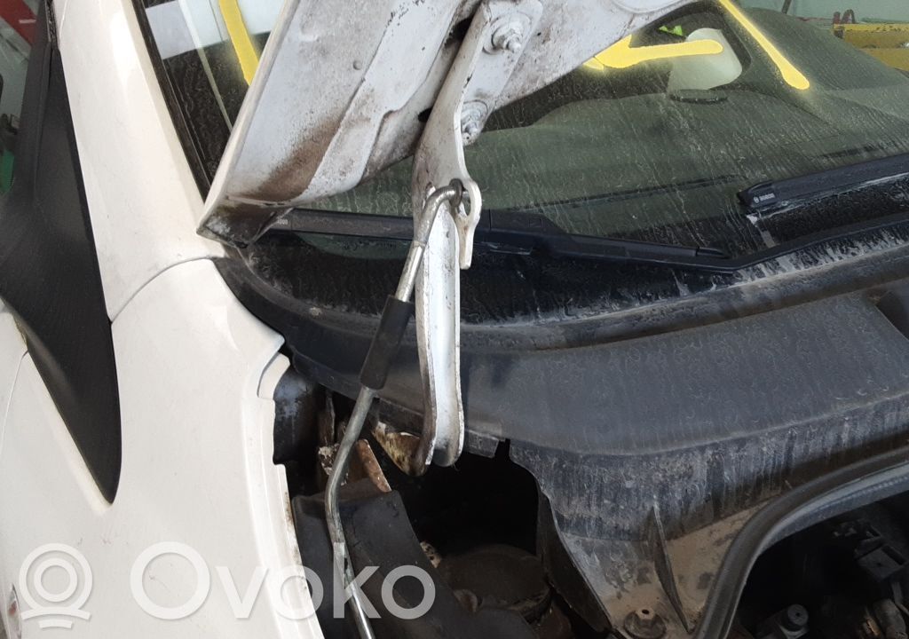 Dzinēja pārsega eņģe (-es)   1542418