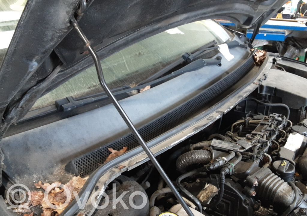 Ford Focus Wiper trim 