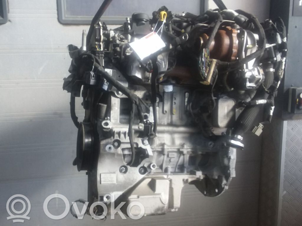 Variklis   2646848