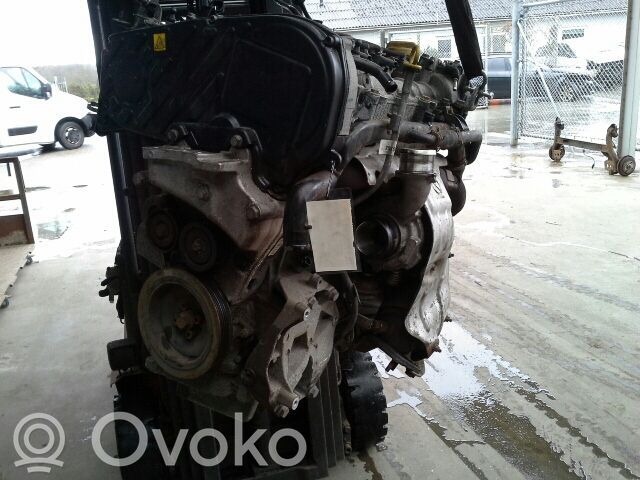 Variklis   55568505
