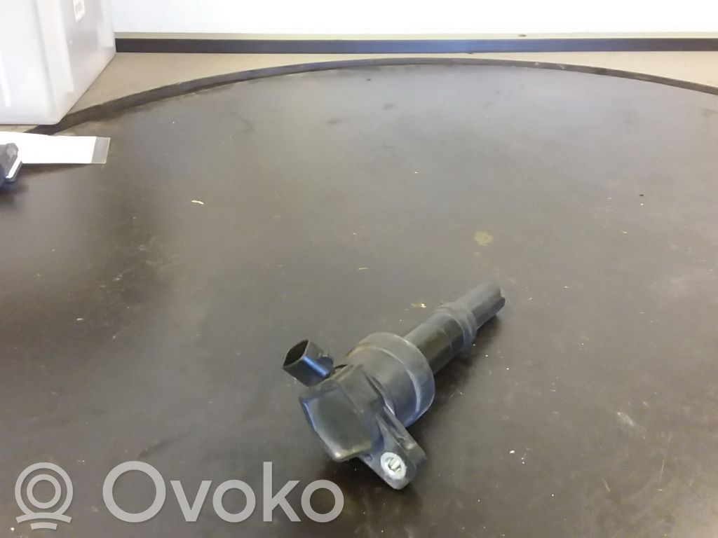 Aukštos įtampos ritė "babyna"   2730103110
