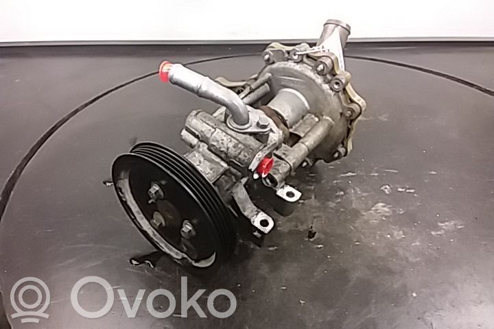 Power steering pump   4007KK