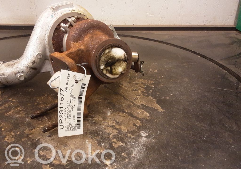 Turbo   5802122184