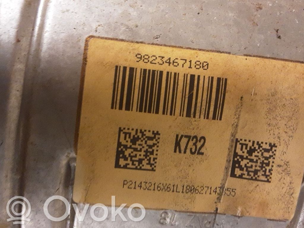 Citroen C3 Filtru de particule catalizator/FAP/DPF 