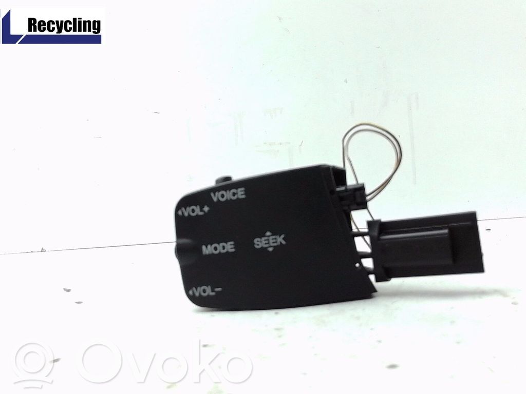 Other switches/knobs/shifts   1318961,758709