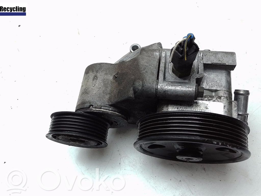 Power steering pump   1371089,1253233