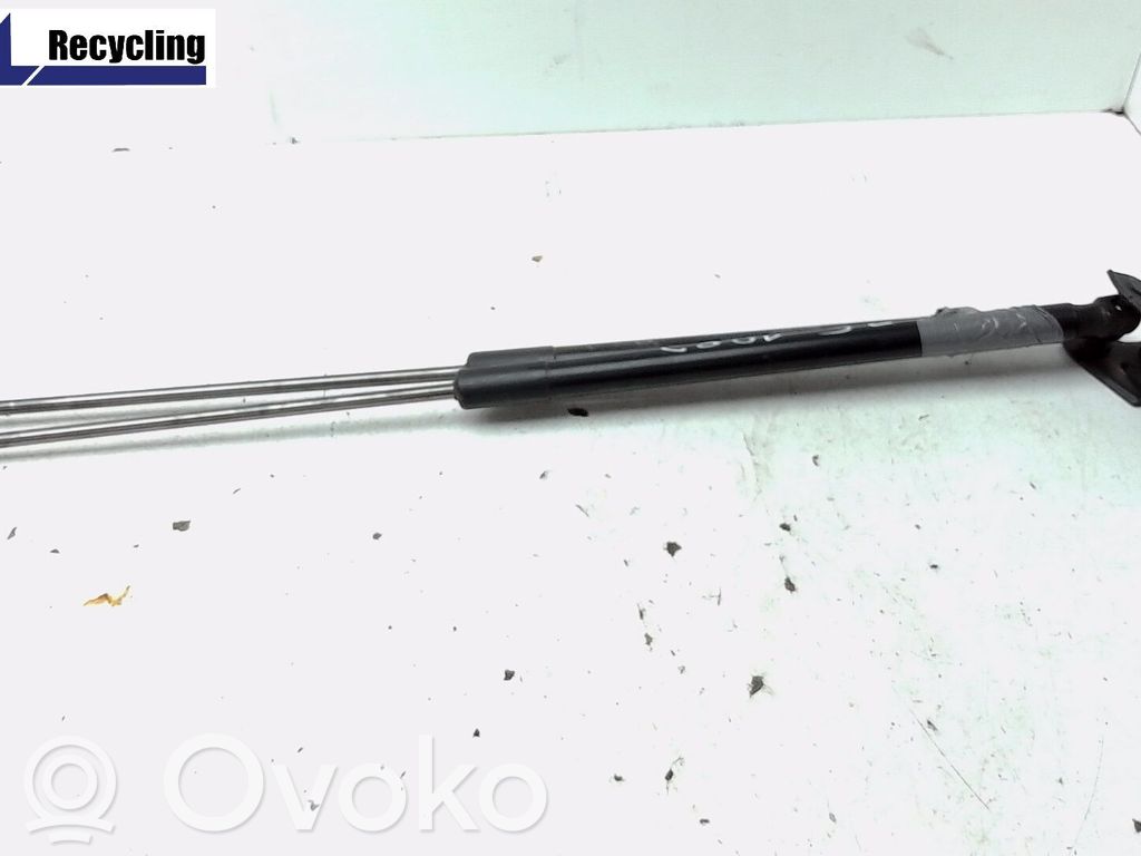 Tailgate/trunk strut/damper   1747492,1718369
