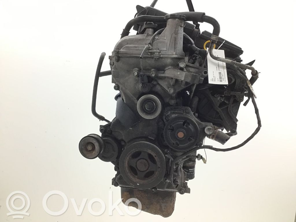 Variklis   ZJ4602300F,ZJ4602300D