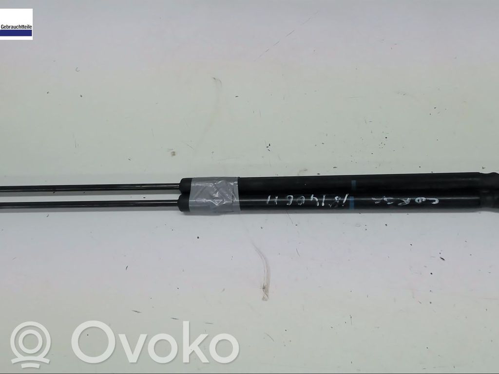 Tailgate/trunk strut/damper