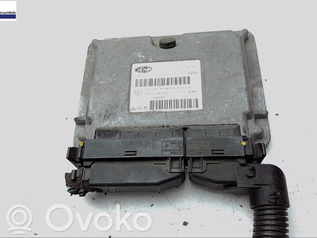 Fiat Seicento/600 Engine control unit/module 