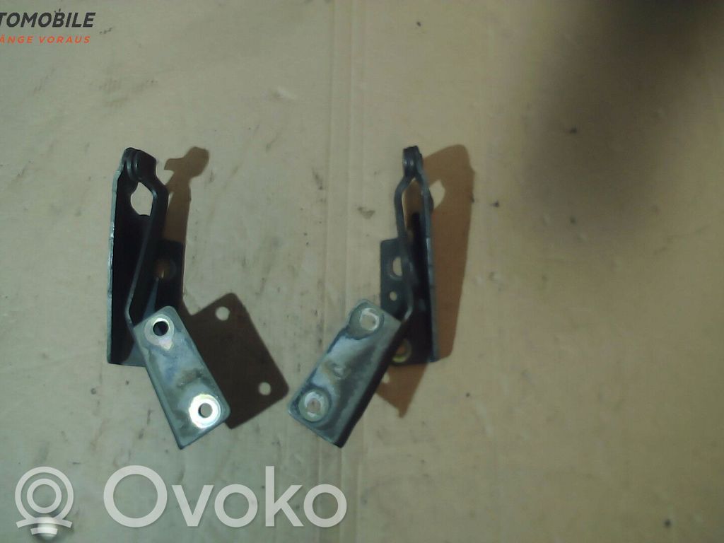 Ford Focus Engine bonnet/hood hinges 