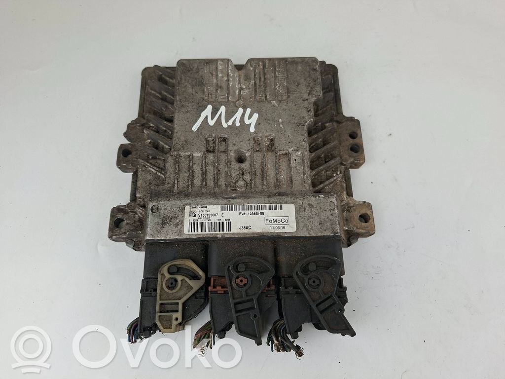 Ford Focus Engine control unit/module 