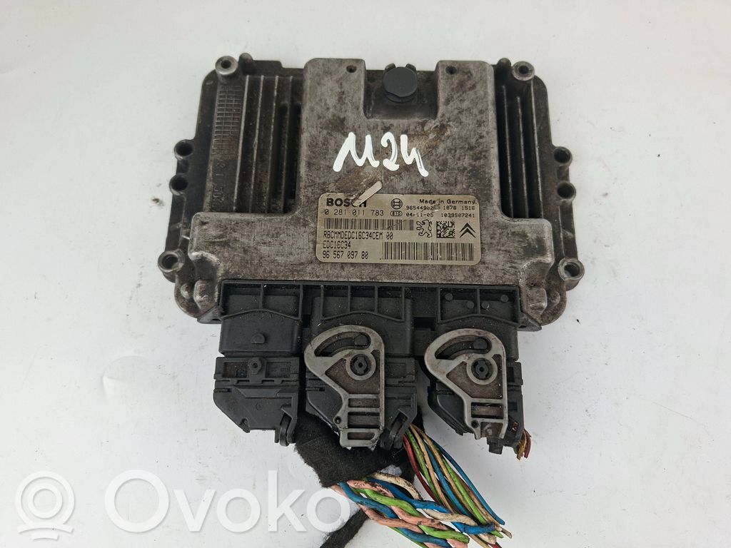 Peugeot 206 Engine control unit/module 