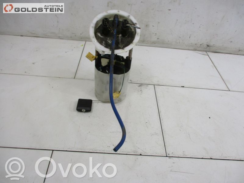 In-tank fuel pump   7197075,7197075