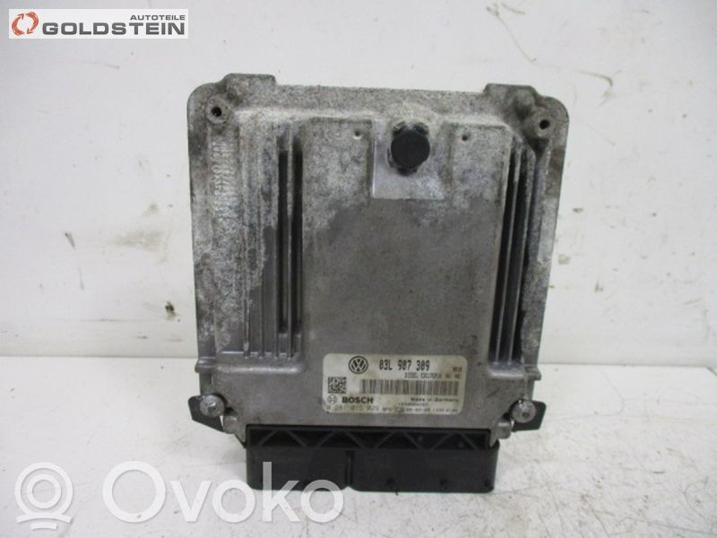 Engine control unit/module   03L907309,028101529,028101529,03L907309