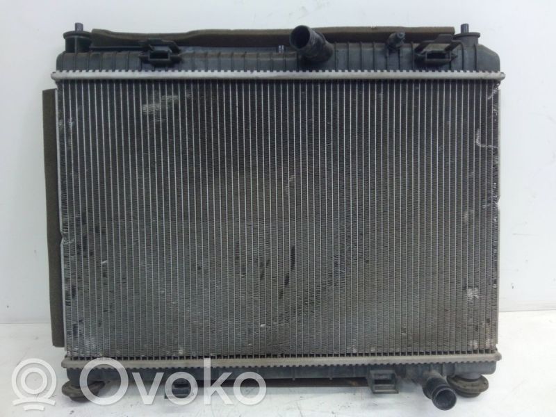 Ford Fiesta Radiator set 