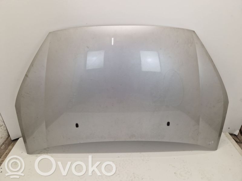Capó/tapa del motor