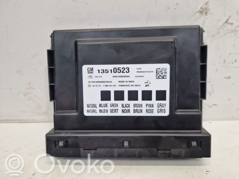 Sonstige Steuergeräte / Module   13510523,13510523