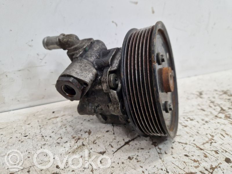 Servopumpe   491100915R,491100915R