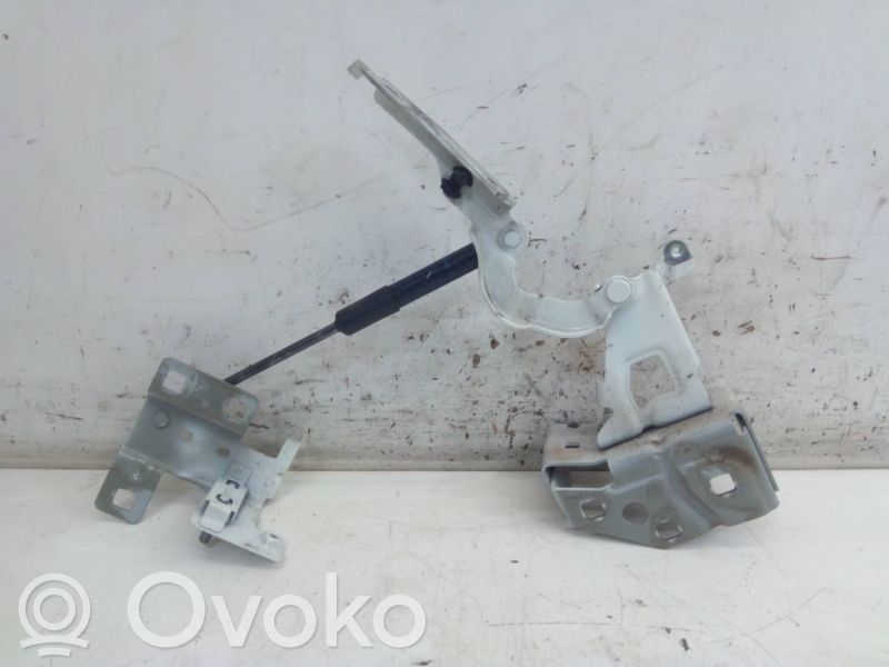 Konepellin saranat   654004002R,654004002R
