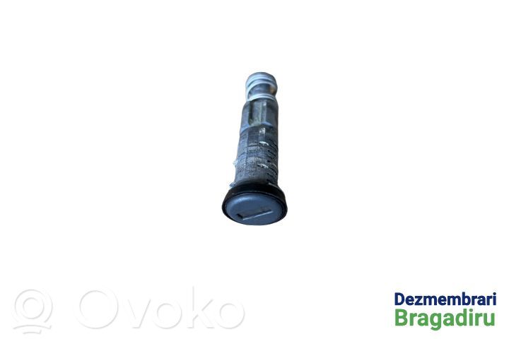 Volkswagen Phaeton Tailgate exterior lock 