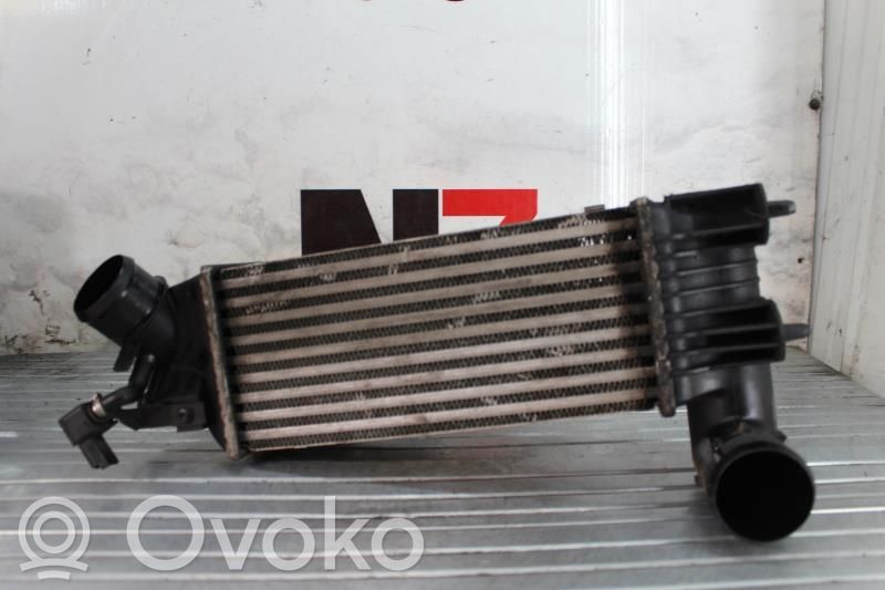 Intercooler radiator   00000384F3