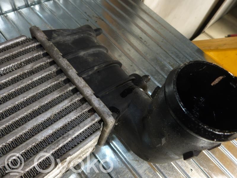 Radiador intercooler   00000384G0