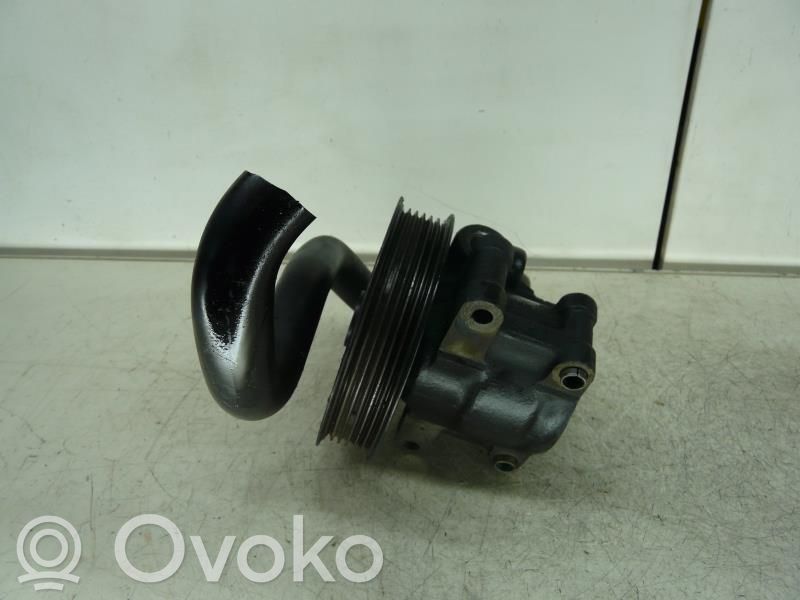 Power steering pump   1371089