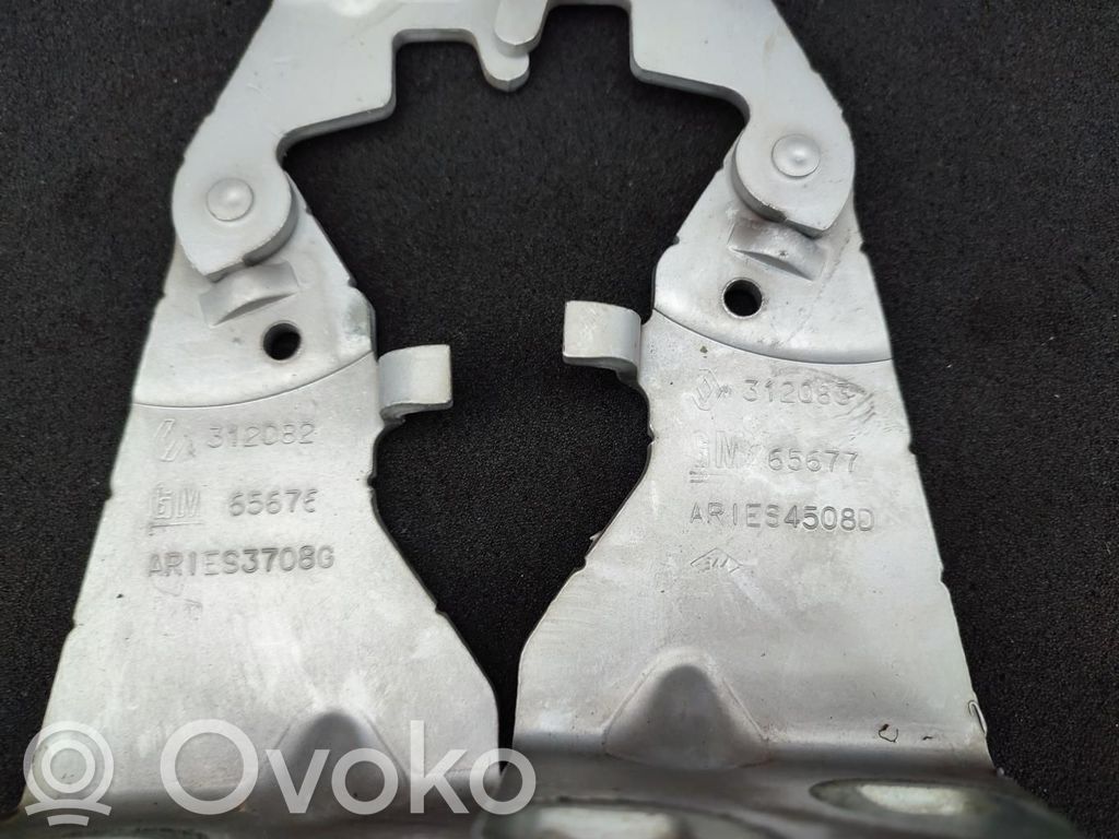 Opel Vivaro Engine bonnet/hood hinges 
