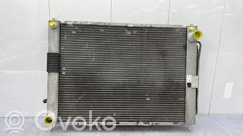 Renault Clio III Coolant radiator 