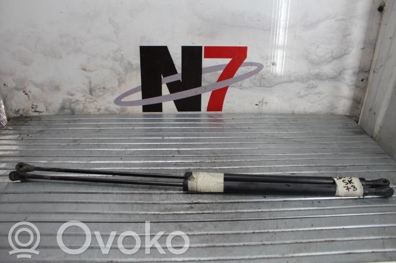 Renault Super R5 Amortizor hayon 