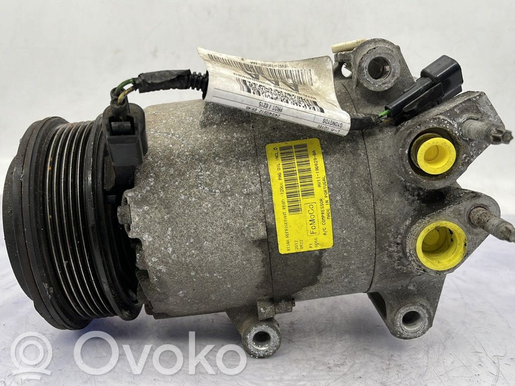 Air conditioning (A/C) compressor (pump)   2025775