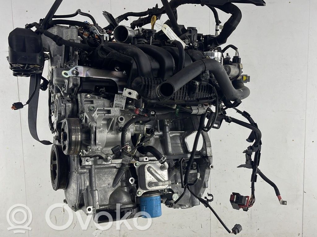 Engine   101024714R