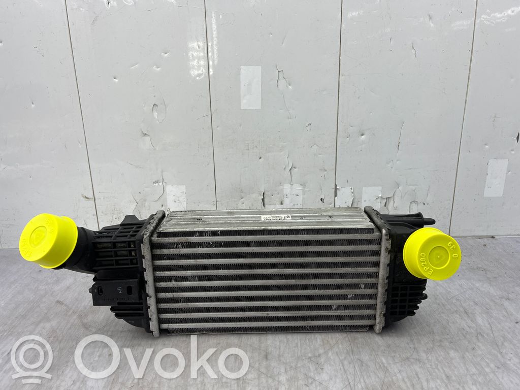 Intercooler radiator   0384N4