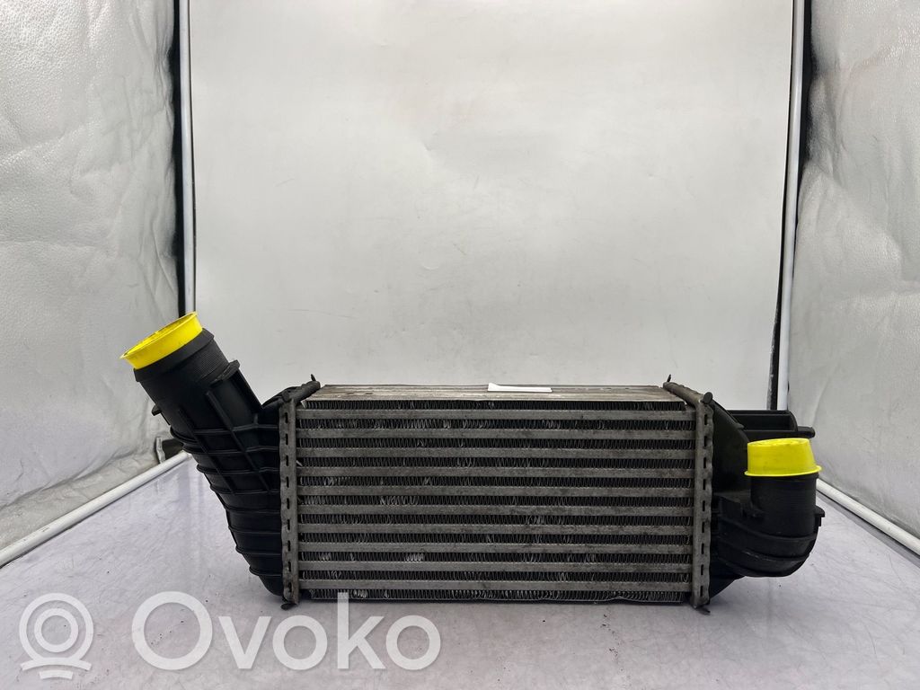 Peugeot 5008 Intercooler radiator 