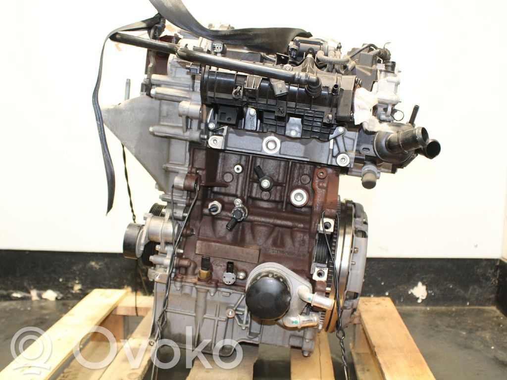 Variklis   2462774