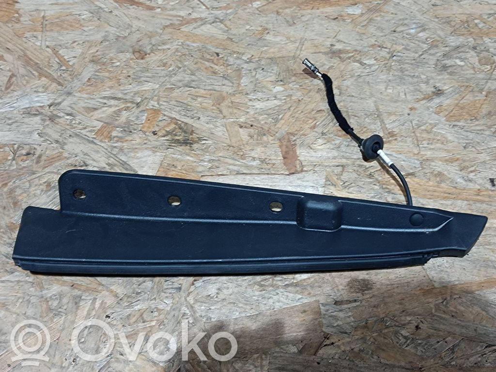 Tailgate trim   C757T