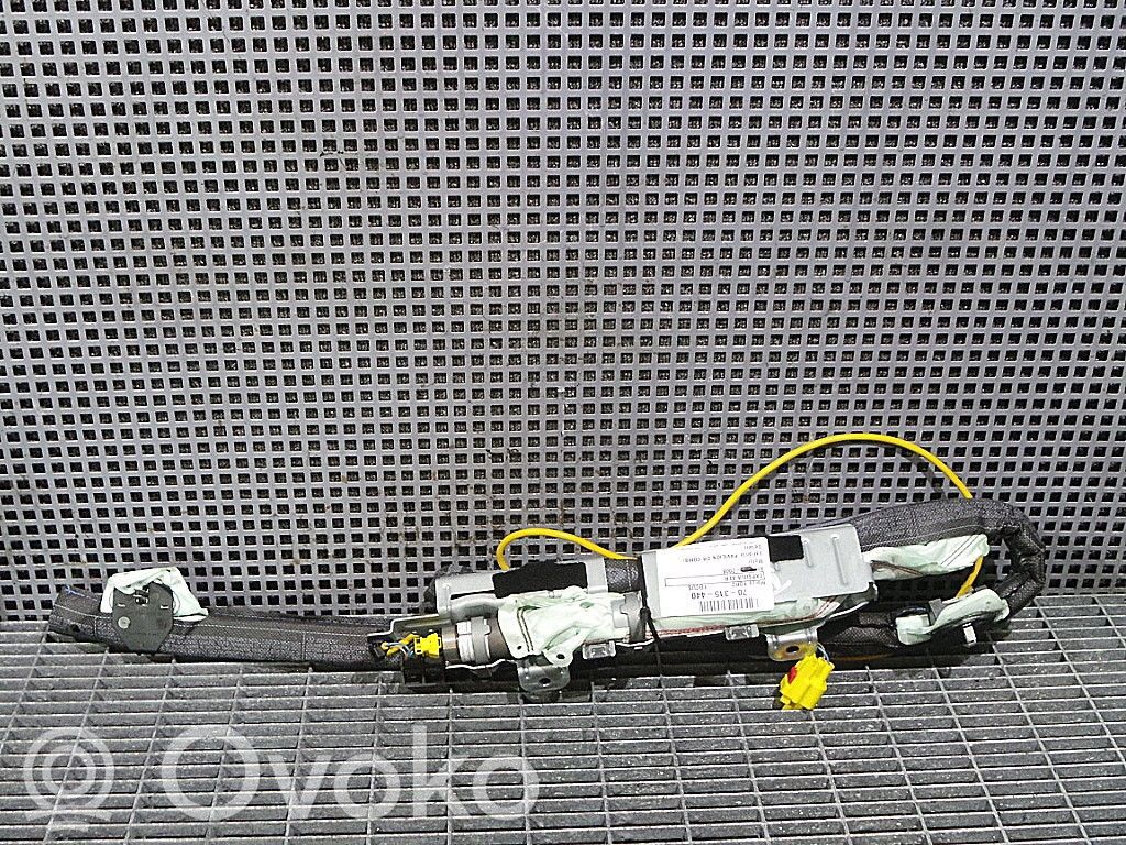 Ford Focus Airbag del techo 